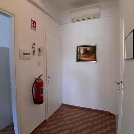 Mucci *