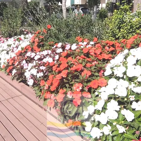 Apartment Mucci Lignano Sabbiadoro